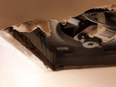 Professional water damage restoration services in Pueblo - HavenCrest